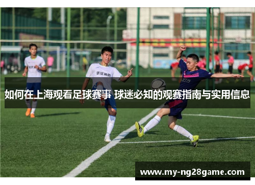 如何在上海观看足球赛事 球迷必知的观赛指南与实用信息