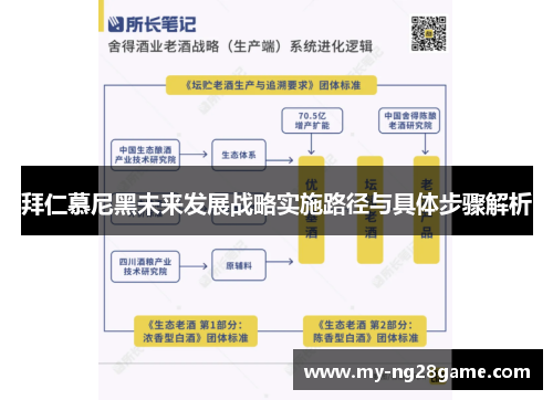 拜仁慕尼黑未来发展战略实施路径与具体步骤解析