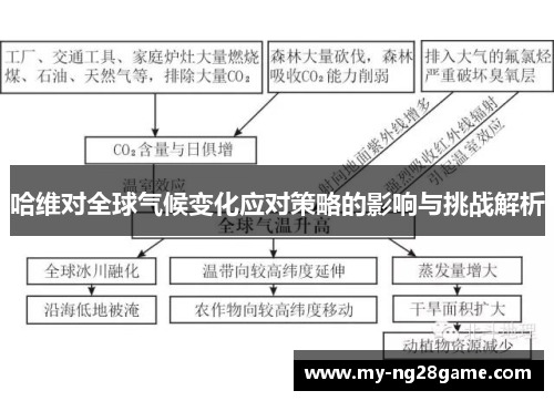 哈维对全球气候变化应对策略的影响与挑战解析