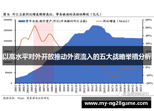以高水平对外开放推动外资流入的五大战略举措分析