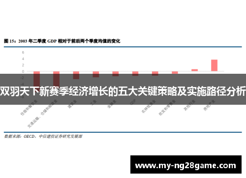 双羽天下新赛季经济增长的五大关键策略及实施路径分析