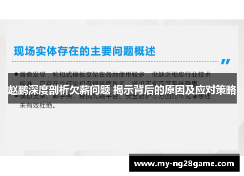 赵鹏深度剖析欠薪问题 揭示背后的原因及应对策略